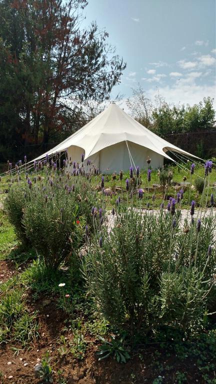 Отель Acatitlan Glamping Валье-де-Браво Экстерьер фото